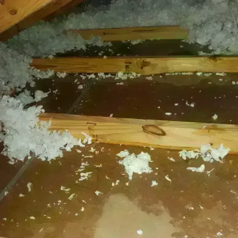 Attic Water Damage in Silver Creek, NY